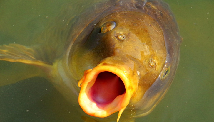 Съвсем тематично, ВиК дружествата избраха за обществено обсъждане 6 декември