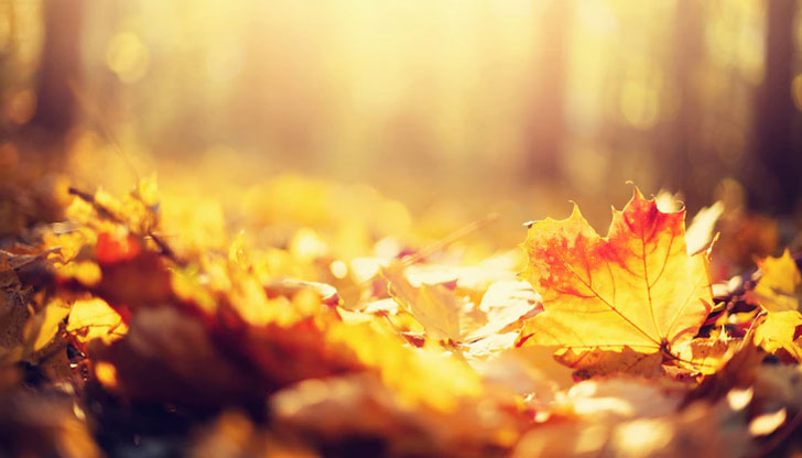 До обяд ще има мъгли на места в Дунавската равнина