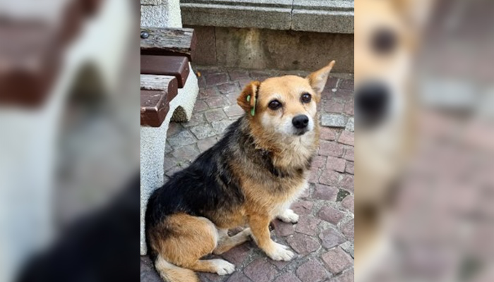 Служители на Шесто РУ – СДВР се отзовали вчера на