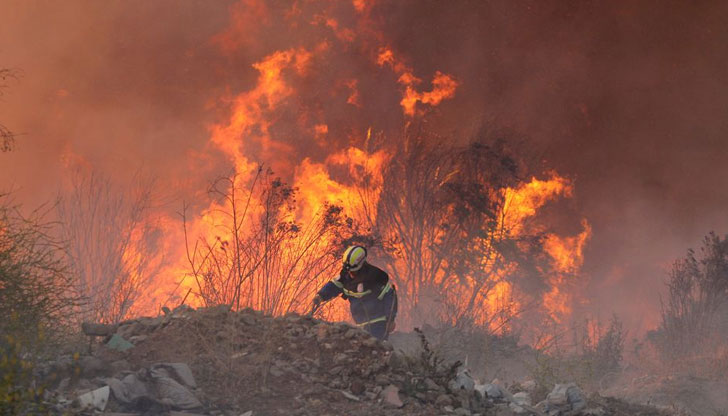 От началото на летния сезон в страната са регистрирани 44