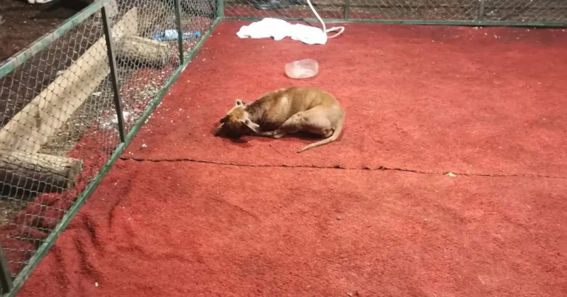 Задържаните са между 17 и 63-годишна възрастАрестуваха участници в нелегални