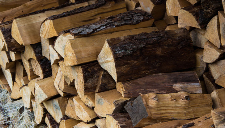 Дървата за огрев са били без превозни билети и контролна