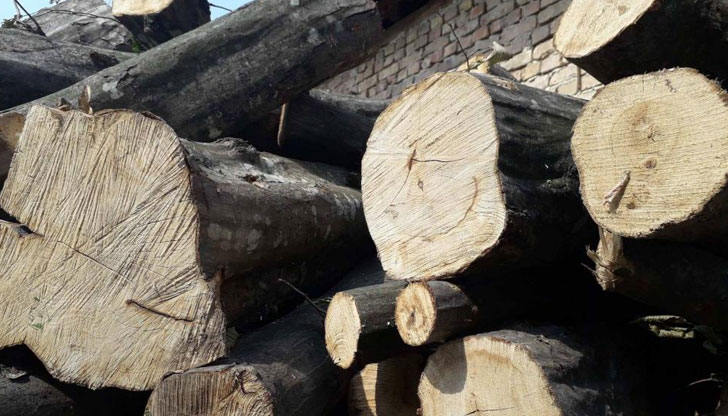 Проверките са били в частни имотиНезаконна дървесина са установили служители