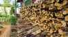 Откриха незаконна дървесина в района на Две могили