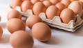 Яйцата в Русе са едни от най-скъпите