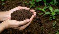 Ню Йорк одобри компостирането на човешки тела