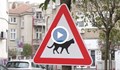 Знак „Внимавай, котки“ предупреждава за четириногите в центъра на Бургас