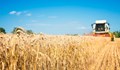 Русенски зърнопроизводител: Може да има жътва в края на април