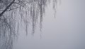 Ограничена видимост в Русенско поради мъгла