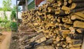 Откриха незаконна дървесина в село Баниска