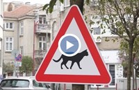 Знак „Внимавай, котки“ предупреждава за четириногите в центъра на Бургас