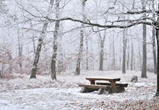 Средните температури ще са по ниски от януарските в Северна България