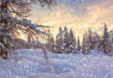 От днес до следващия вторник ни очаква зима Ще има снеговалежи