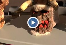 Традицията се спазва от дълги годиниЦентърът на Благоевград се тресе