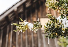 В Русе и днес ще е слънчево и топло с