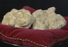 Треската за печелене на бързи пари чрез събиране на наричаните