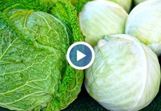 Древните гърци смятали че зелето е създадено от потта на