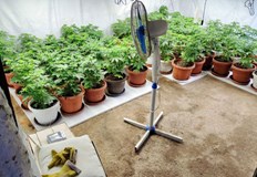 Задържани са мъж и жена които са привлечени като обвиняеми