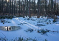 Успяват да спасят 23 годишния му синМъж от велинградското село Драгиново