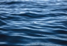 Тунизийската брегова охрана е спасила около 20 други от Средиземно