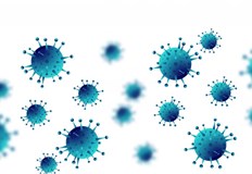Само 2 33 процента от преботие в страната са положителниТри са