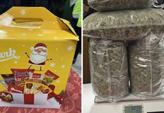 Пакетите са открити в автобус с турска регистрацияМитнически служители от