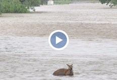 Местните власти обявиха извънредно положение в районаРекордни наводнения предизвикани от