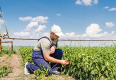 До 31 януари се удължава приемът на проекти за финансова