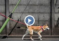 Останалите налози към Общината се вдигатРъст на данъците в Кюстендил