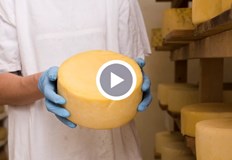 За производството на килограм кашкавал са необходими между 12 и