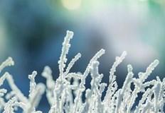 През втората половина на седмицата се очакват снеговалежи силни ветрове