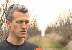 Загубите обаче остават изцяло за сметка на производителитеНеобичайно топлото време