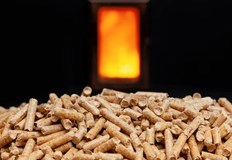 Има нарастващи доказателства за това разкри платформата за новини и