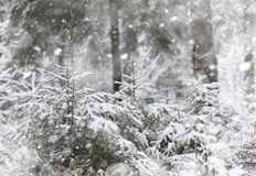 Седмицата от девети януари ще е зимна Вече свърши хубавото време