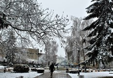 Делът на положителните проби в страната е едва 1 49 процентаВ