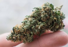 Наркотикът е бил укрит в чушкиНа 29 януари в затвора