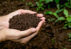 Вашингтон беше първият щат в САЩ който легализира тази практика