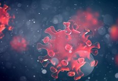 През последното денонощие няма починали заразени с вирусаВ Русенско има