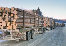 Разследващи журналисти разказват за пропуски в прилагането на санкциите на