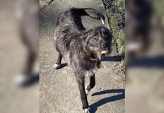 Жената била потресена от постъпката на баща си и участвала