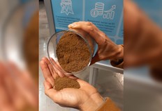 Домашни щурци замразени изсушени на прах насекомите са