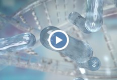 Понякога тази бактерия предизвиква големи поражения Хеликобактер пилори малката