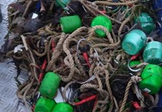 В района на остров Вардим са открити 3 броя лави