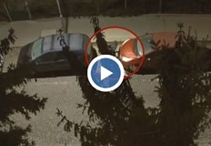 Има около 6 подобни случая за три месеца в столичния