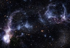 Това означава че законите които управляват растежа и на двете