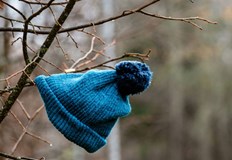 В Русе Търговище и Монтана са отчетени температурни рекордиПролет посред