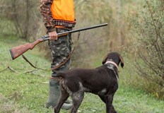 Кучето на ловеца е стъпило върху необезопасена пушка на задната