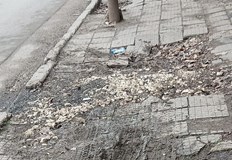 Емблематичният с архитектурата си град Русе постепенно се превръща в