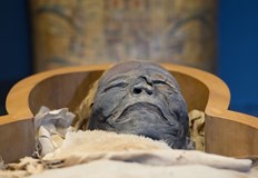 Според служителите институциите самата дума не е грешна а дехуманизиращаБританският