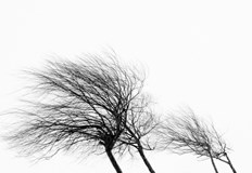 Максималните температури ще са между 15°С и 20°СПрез нощта и